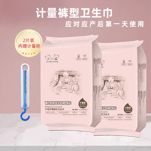 Metering Type Maternal Sanitary Napkins 2 Pieces Postpartum Lochia Pants Adult Diapers Women's in stock Free Underwear
