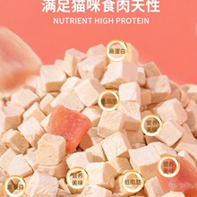 ����؈��ʳ�u�����u���⌙��؈����ʳ��ȫ����С؈���S�u��