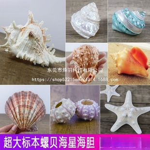 ������ؐ����đ�����~���쾰�ҾӔ[���b���Ȼ����˱��ղ��ͶY