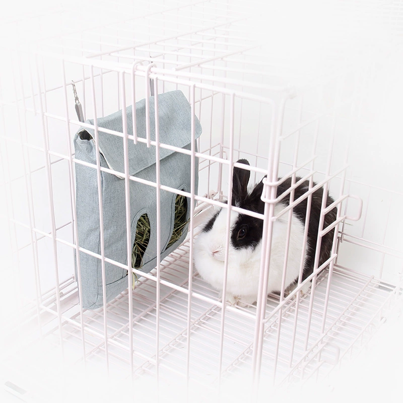 Маленькие домашние морские свинки имеют медленную еду и самостоятельную еду