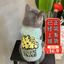 小猫咪衣服宠物防掉毛薄款无袖可爱小背心蓝猫布偶猫幼猫夏季迪贸