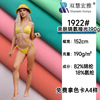 高牢度锦纶消光莱卡布料 尼龙经编高弹布 速干泳装泳衣瑜伽面料|ru
