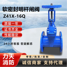 ܛܷUlyZ41X-16QIˮⷨmyTUܛܷly