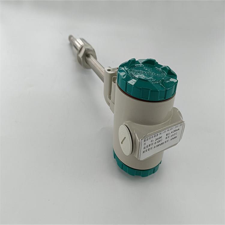 管道压缩空气温湿度检测仪型号:WL100-M389004  库号：M389004