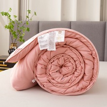 夏被蚕丝被空调被学生宿舍被裸睡婴儿保暖冬被批发柞蚕丝亲肤柔软