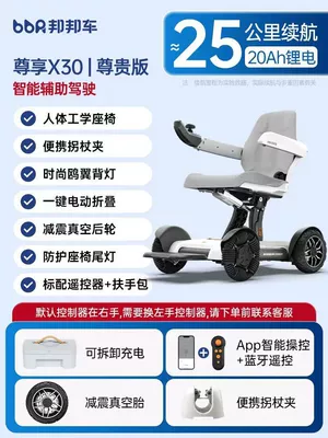 Amazon Cross-Border Mobile Phone-Controlled: Qatlanan elektrik velosipedlər - premium-20ah