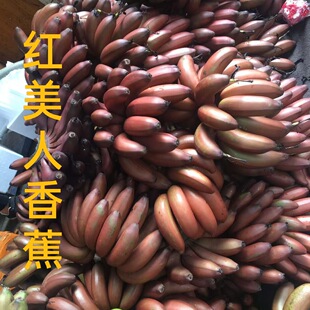 �V���tƤ�㽶�t�����˽�ˮ���F�ɬF�l���]���l�Q��5��9�����Ȼ��