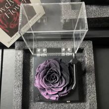 CϦ˹YŮ{ɽ軨õ廨