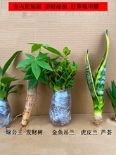 �lؔ��M��������ؔ���~���m��Ƥ�m�҃Ⱥ��B�����՚�����ȩ��ݗ��