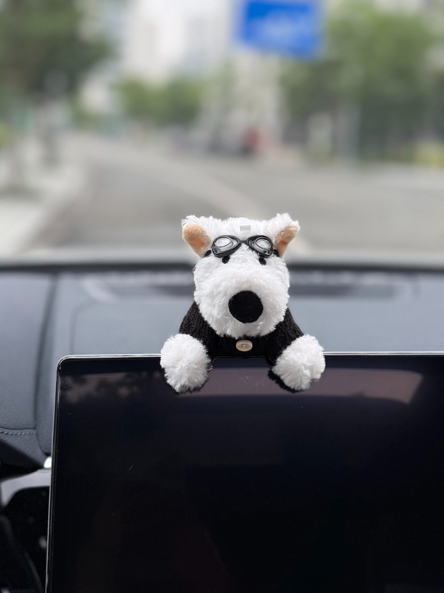 Coffee-colored West Highland etc. stand doll, detachable, no-stick magic accessory, car dashboard decoration, center console ornament