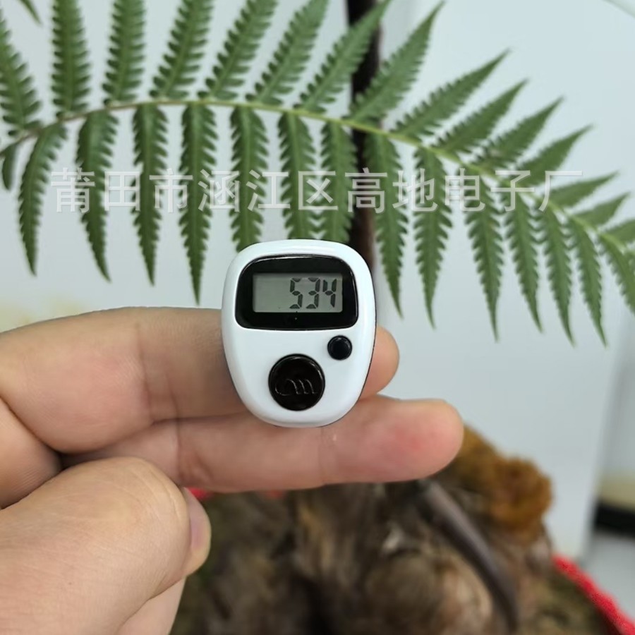 2024-11-29 16:37:43.jpg