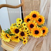 ���u��3�^�L֦7�^22�^��@���տ����滨�ϼ���������b��廨