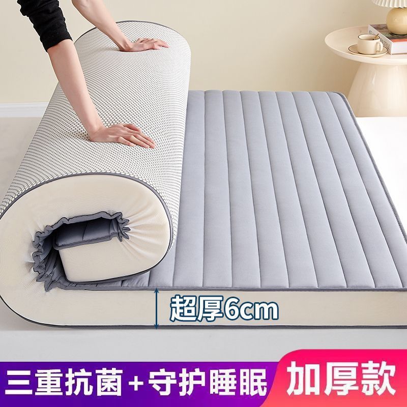 약 6cm [직선 회색]