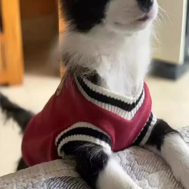 Одежда для бордер-колли, осенняя и зимняя одежда для больших собак, лабрадор, золотистый ретривер, сиба-ину, собаки среднего размера, большие собаки, осенние щенки Ли Чжи