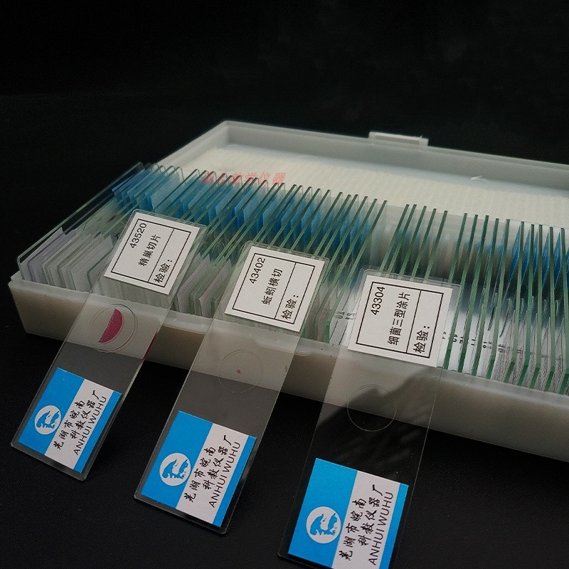 43508骨骼肌纵横切初高中生物实验切片盒初中生物教学切片