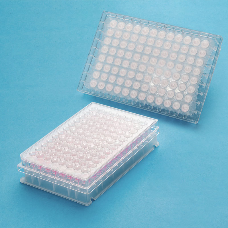 biocomma 不可拆卸96孔微孔过滤板，亲水性CA，0.22μm，无菌