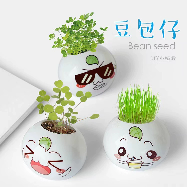 DIY травяная кукла креативное мини-керамическое растение в горшке офисный пейзаж маленький завод подарок