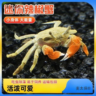 ��̫�����l��������з�ɻ��B�з�^�pз����з���x���嵭΢������