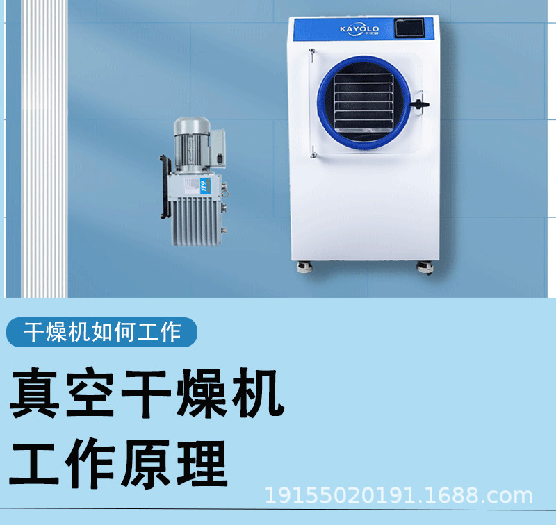 最终hl-2 (2).jpg