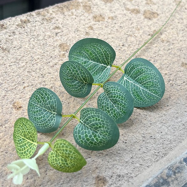 Single 8 -leaf money leaf green