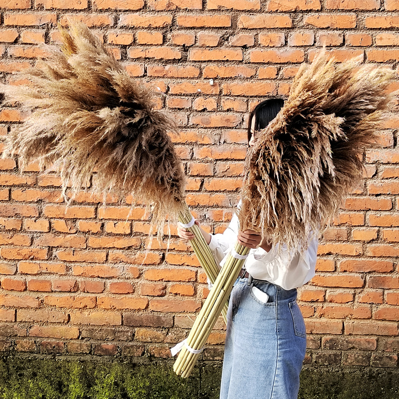 QQ图片20221103211829-1