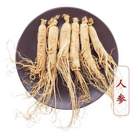 批发长白山带须人参现货供应东北非林下参礼盒装整支生晒参人参