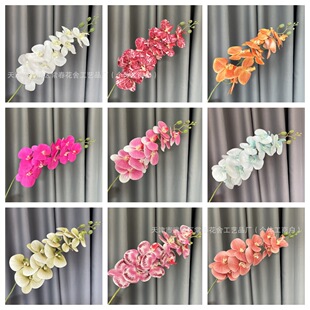 �羳����9�^3D�����m ��c�Ҿ��b��滨 �Ƶ�廨 �ٻ��Ҿ��b��