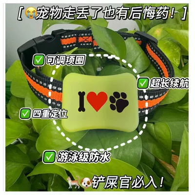 GPS Locator and Light for Pet Tracking - green