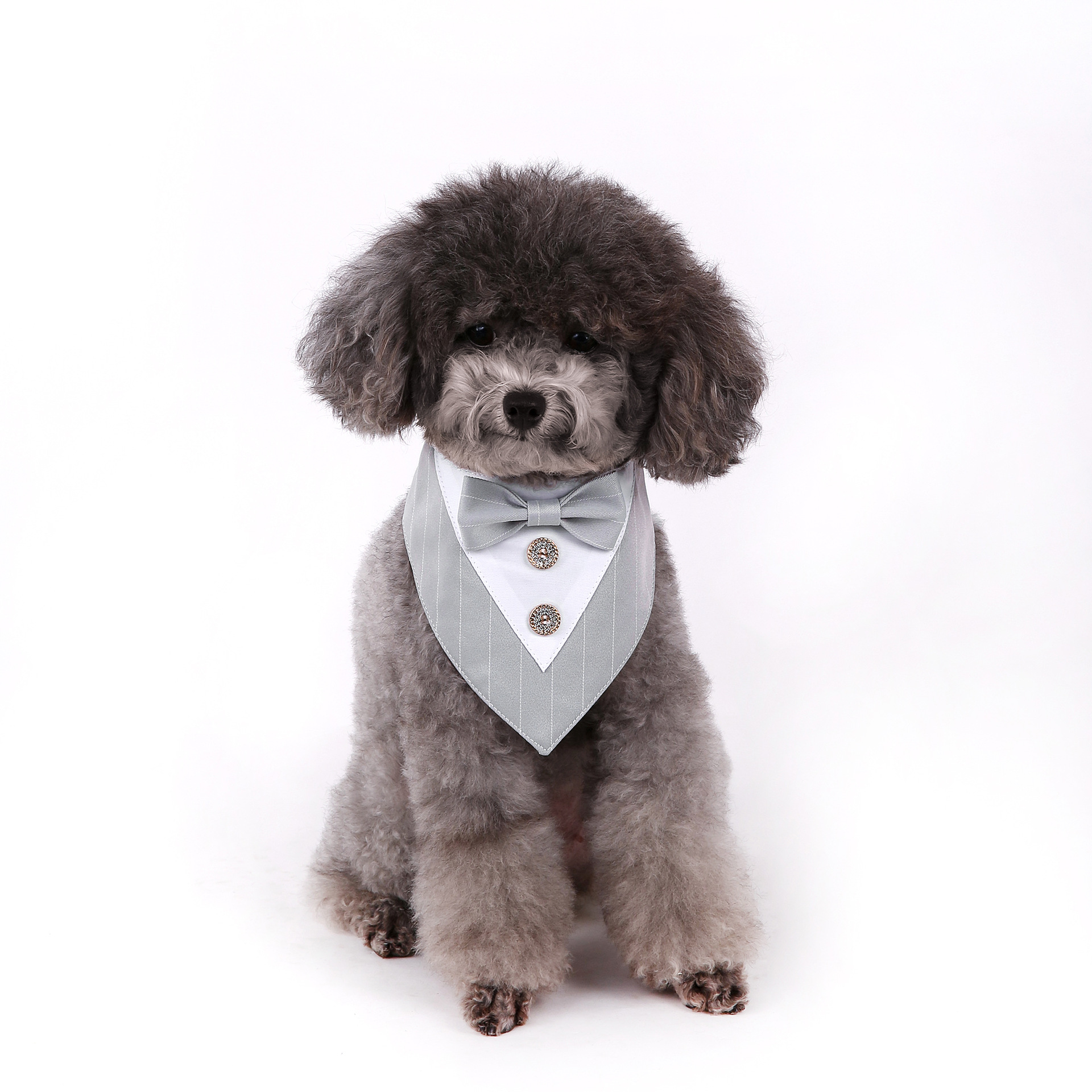 Navidad Año Nuevo Spot transfronterizo boda británica trajes toallas para mascotas bufandas perros velcro toallas para mascotas triángulos