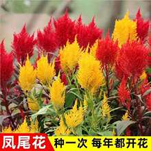 ���U�ļ����N�Ӽt�S���b�����̨ͥԺ���˻����u�ڻ������ɫ