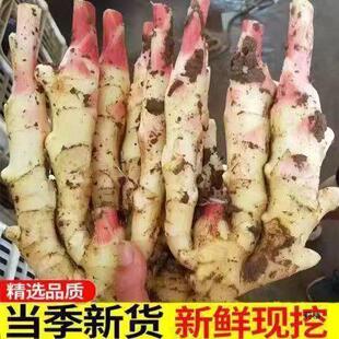 �F�������tѿ�r���۽��н��r���Ǵ��ݽ��������������r�۽�