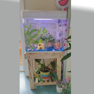 Solid Wood Living Room Tank Placement Stand Base Table Cabinet Household Aquarium Grass Tank Shelf Turtle Fish Tank Cabinet Base