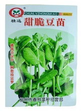種子公司批發蔬菜種子豌豆芽苗種子春綠甜脆豆苗 較耐寒、較抗病