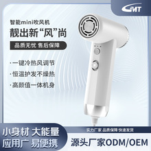 跨境高速吹风机家用超学生宿舍大功率迷你便携式旅行发廊电吹风筒