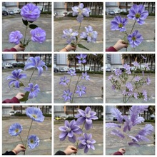 2026���¿�\��ɫ��c���滨���l ����ѩ���Y·��ܛ�b�bٻ�