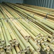 �V�|�S��ֱ�N �������������S�Gɫ��U����U���������U