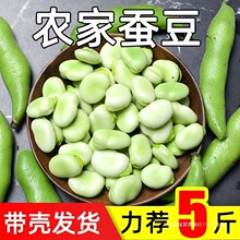 ��Ϻ������r�Fժ�����Q�������r���߲�ë�����_�h���m�����϶�9