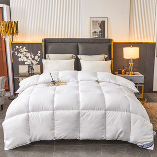 Five-star hotel feather velvet quilt thickened warm quilt summer cool quilt core spring and autumn quilt winter quilt four seasons universal fluffy