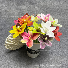 �羳3D��ӡ�zƬ��֧���m�� �Wʽ�͏d�[���ٻ���Y������ �Ĕz����