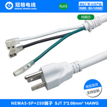 NEMA 5-15P ��Ҏ����+����+β����250������Ҏ�Դ�����J�C