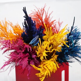 ʯ���������r�����ɻ�diy���ϻ�����޹Ϟ�T��ļҾ��b�΢���^