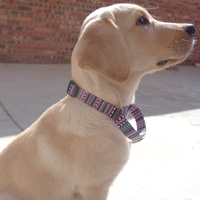 Fabricante mayorista de productos para mascotas, collar de amortiguación para perros, collar de perro perezoso, collar de perro para caminar