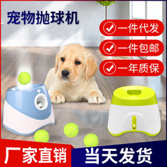 ソースメーカー ペットボールスローイングマシン 屋外犬用おもちゃ 弾性テニスボール 犬の散歩用品 自動ボールスローイングマシン