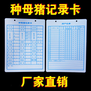 �Nĸ�iӛ䛿��N���i��ӛ�����^���B�i��Ƭ�yӋ�S�п���ۙ���n����