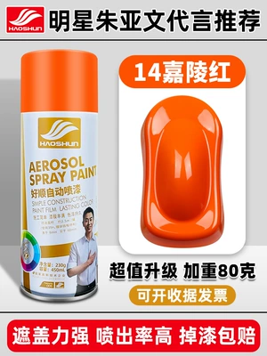 Metal Anti-rust Paint Wall — Avtomobil boya qələmləri - shushun-self-painted-450ml14-jialing-red