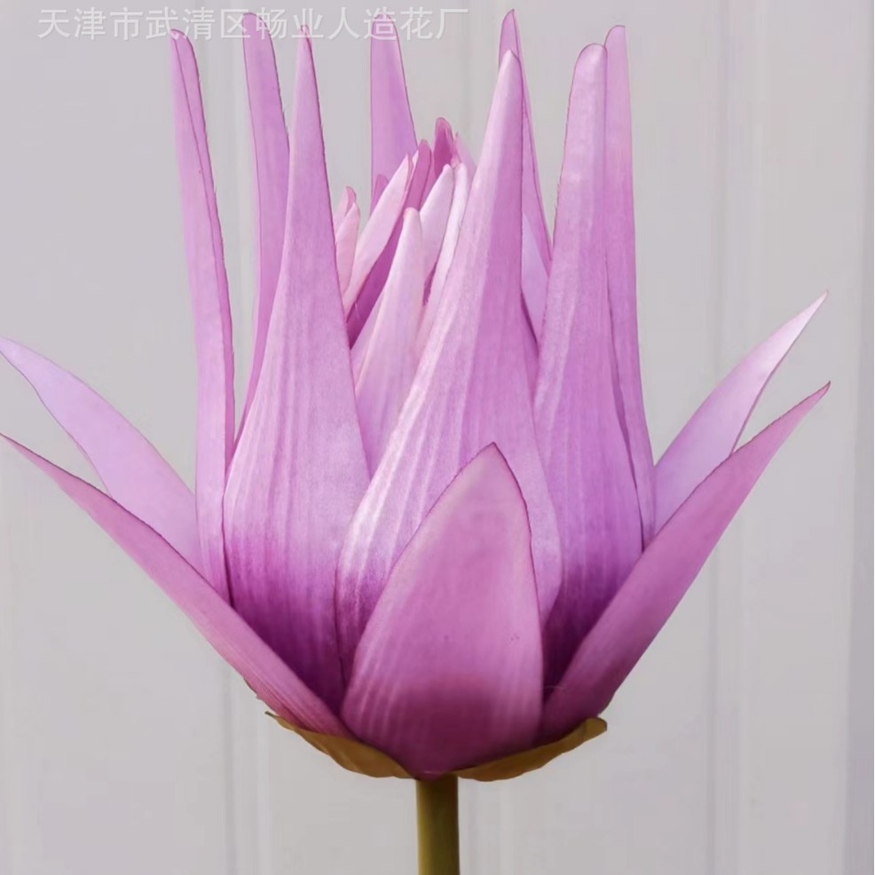황제
