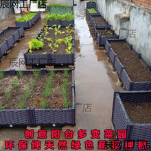�N�������a���l�Nֲ���̨�߲˷Nֲ�����L�����茣�ò����ش�