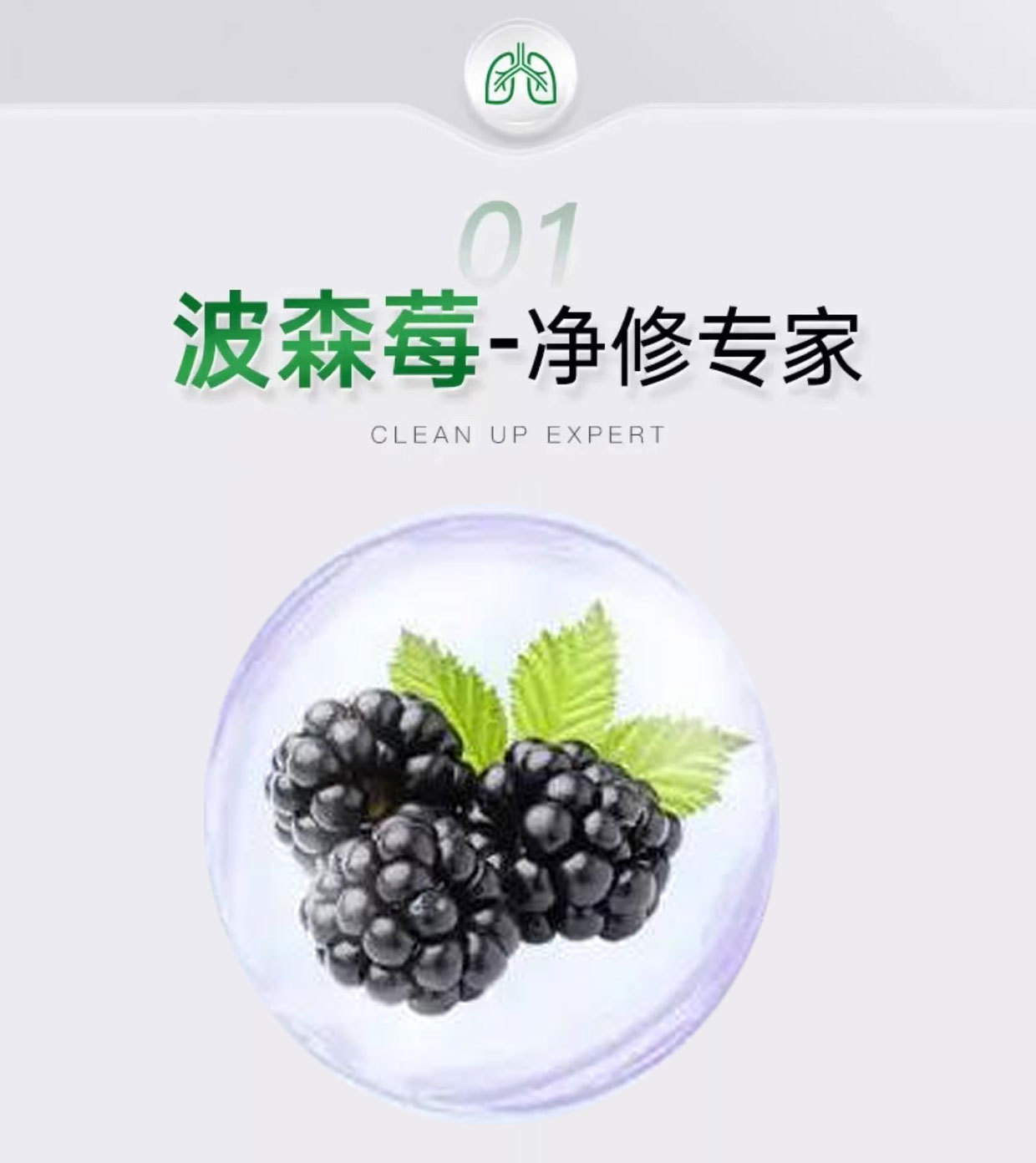 Boysenberry Luo Han Guo Herbal Drink (50ml) — Loquat Leaf, Platycodon & Chrysanthemum Botanical Beverage key features
