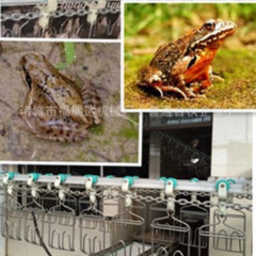 东北林蛙宰杀取油生产线烘干设备 林蛙初加工流水线设备