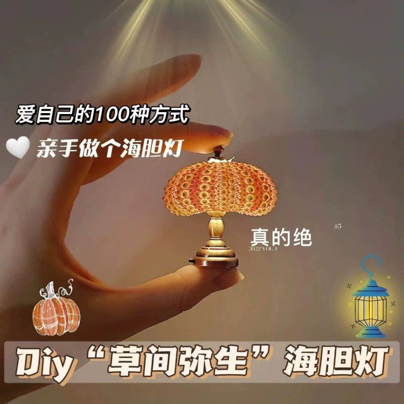 Xiaohongshu: такой же мини-ретро-ежик ночной свет для детской настольной лампы, декоративное украшение комнаты девочек